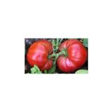 Arzuman 5 gr Super Yerli Marmande Domates Tohumu