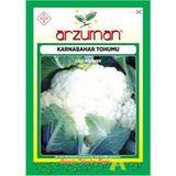 Arzuman 500 Adet 10 Gr Karnabahar Tohumu