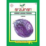 Arzuman 500 gr Kırmızı Lahana Tohumu