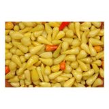 Arzuman Biberiye Biberi 5 gr Tohum