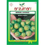 arzuman Brüksel Lahanası Tohumu 1 Paket Lahana Tohumu