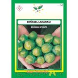 Arzuman Brüksel Lahanası Tohumu 10 G