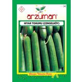 Arzuman Çengelköy 300 Adet Salatalık Tohumu