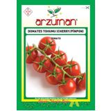arzuman Domates Tohumu 1 Paket Pinpon Domates Cherry Domates Çeri Domates Tohumu