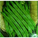 Arzuman Fasulye Geniş Helda 50 gr Tohum