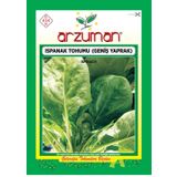 arzuman Ispanak Tohumu 1 Paket (25 Gr) Geniş Yaprak Ispanak Tohumu