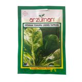 Arzuman Ispanak Tohumu 25 G