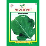 Arzuman Kara Lahana Tohumu 10 G