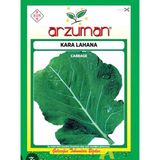 Arzuman Sebze Kara Lahana Tohumu
