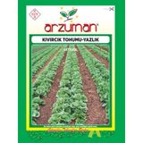 Arzuman Sebze Yazlık Kıvırcık Marul Tohumu