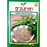 Arzuman Süs Bitki Hanım Düğmesi Çiçek Tohumu