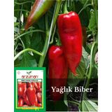 ARZUMAN TOHUM Biber Tohumu (Kapya)