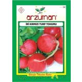 ARZUMAN TOHUM İri Kırmızı Turp Tohumu