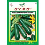 ARZUMAN TOHUM Kabak Tohumu