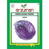 Arzuman Tohum Kırmızı Lahana