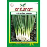 ARZUMAN TOHUM Yeşil Soğan Tohumu