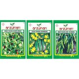 Arzuman Turşu Set Konik Biber+ Hıyar Kornişon +Cin Biber Tohum