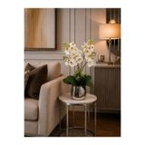 ArzzHome Cezve Saksı Çift Orkide Aranjmanı Beyaz / Gümüş