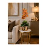 ArzzHome Cezve Saksı Premium Singapur Orkide Aranjmanı Turuncu / Gold