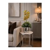 ArzzHome Cezve Saksı Premium Singapur Orkide Aranjmanı Yeşil / Gümüş