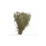 AS Baharat Tarhana-Dere Otu 1. Kalite 100GR