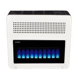 As Royal HR-11000 G DT Duvar Tipi Hermetik Doğal Gaz Sobası
