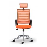 Asbir Mobilya Capri Baslikli Fileli Metal Ayakli Ofis Koltugu Calisma Koltugu