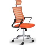 Asbir Mobilya Capri Fileli Başlıklı Fileli Metal Ayaklı Ofis Koltuğu Çalışma Koltuğu