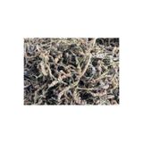 Aselife Kahverengi altın otu 100gr