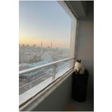 Asenya Balkon Filesi 2,5x6,5 Metre Kuş Önleme Filesi Kedi Filesi Güvercin Önleme Ağı Koruma Dolu Filesi