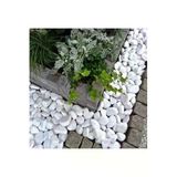 Asenya Beyaz Dolomit Taş 10 kg 4-6 cm Dekoratif Taş Bahçe Süs Taşı Doğal Dere Çakıl Taşı