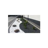 Asenya Beyaz Dolomit Taş 5 Kg 2,5-4 Cm Bahçe Süs Taşı Dekoratif Taş