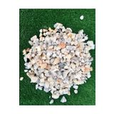 Asenya Çakıl Taşı 3 Kg 0,5-1 Cm Renkli Taş Dolomit Taş Dekoratif Taş Bahçe Taşı Akvaryum Taşı Dere Taşı