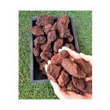 Asenya Dekoratif Pomza Taşı 25 Kg 5-10 Cm Bahçe Dekor Taşı Kırmızı Pomza Tarım Pomzası Lav Taşı Cüruf Ponza