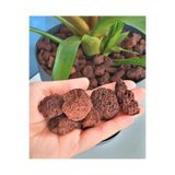 Asenya Dekoratif Pomza Taşı 3 Lt (1,50kg) 15-25 Mm Kırmızı Pomza Tarım Pomzası Bahçe Saksı Teraryum Taş