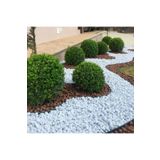 Asenya Dolomit Taş 1 Kg 2-4 Cm Beyaz Dolomit Taş Saksı Dibi Dekoratif Taş Bahçe Süsleme Taşı Peyzaj Taşı