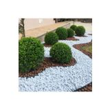 Asenya Dolomit Taş 4 Kg 2-4 Cm Beyaz Dolomit Taş Saksı Dibi Dekoratif Taş Bahçe Süsleme Taşı Peyzaj Taşı