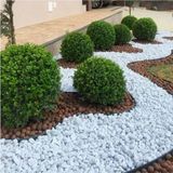 Asenya Dolomit Taş 5 kg 2-4 cm Beyaz Dolomit Taş Saksı Dibi Dekoratif Taş Bahçe Süsleme Taşı - 0 - 19 lt - Çok Renkli