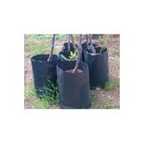 Asenya Fidan Poşeti 22x40 cm 10 Adet Fidan Torbası Fidan Yetiştirme Poşeti