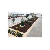 Asenya Kırmızı Pomza Taşı 15-25 Mm 10 Kg Volkanik Ponza Lav Taşı Ponza Kaktüs Sukulent Pomza Tarım Pomzası