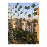 Asenya Kuş Filesi 2X30 Metre Balkon Filesi Kuş Önleme Ağı Güvercin Önleme Filesi Kedi Filesi