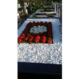 Asenya Mezar Taşı 9 Kg 2-4 Cm Beyaz Dolomit Taş Dere Çakıl Taşı Bahçe Süs Taşı Mezar Süsleme Taşı