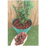 Asenya Pomza Taşı 25 Lt 1-2 Cm Dekoratif Pomza Taşı Kırmızı Pomza Tarım Pomzası Lav Taşı Cüruf Ponza