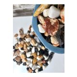 Asenya Renkli Çakıl Taşı 10 Kg 1-2 Cm Saksı Dibi Teraryum Saksı Süs Vazo Dibi Dekoratif Dolomit Taş