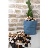 Asenya Renkli Çakıl Taşı 7 Kg 1-2 Cm Saksı Dibi Teraryum Saksı Süs Vazo Dibi Dekoratif Dolomit Taş