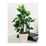 Asenya Yapay Bitki Ağacı, 30 cm, Saksıda, Dekoratif Bonsai, Krem