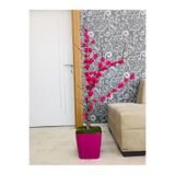 Asenya Yapay Çiçek, 80-100 cm, Mor Bahar Dalı, Saksıda Yapay Bitki Ağacı