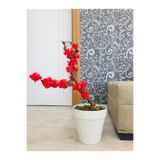 Asenya Yapay Çiçek Bahar Dalı Bonsai Ağacı, 40-80 cm, Kırmızı, Doğal Yosunlu Saksı