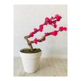 Asenya Yapay Çiçek Bonsai Ağacı, 40-80 cm, Bahar Dalı, Mor