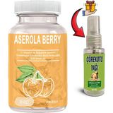 Aserolla Yoğun Aserola Berry Ekstratlı Probiyotikdetox 30LU Soft Jel Kapsüller + Çörek Otu Masaj Yağı - 1li